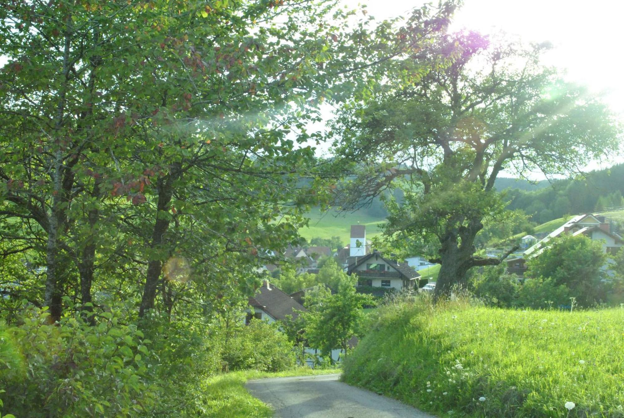 Gasthaus Kranz Lausheim Esterno foto