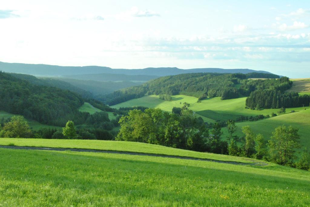 Gasthaus Kranz Lausheim Esterno foto