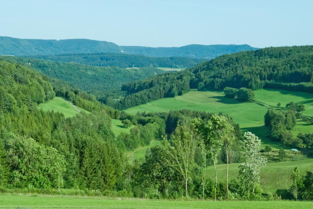 Gasthaus Kranz Lausheim Esterno foto